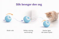 Zoorilo Katteleke Smart – bilde 3