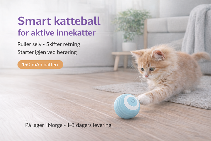 Zoorilo Katteleke Smart