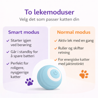 Zoorilo Katteleke Smart – bilde 2