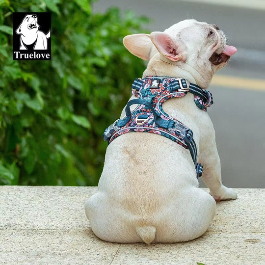 Pet Harness Small Medium Large Split Dog Fashion Outdoor Dropshipping
