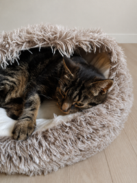 Zoorilo Katteseng Cozy – bilde 5