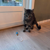 Zoorilo Catnip Calm – bilde 2